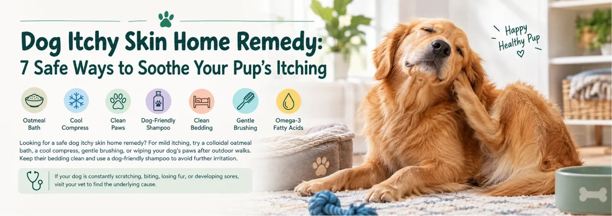 Dog Itchy Skin Home Remedy: 7 Safe Ways to Soothe Your Pup’s Itching