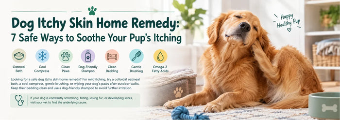 Dog Itchy Skin Home Remedy