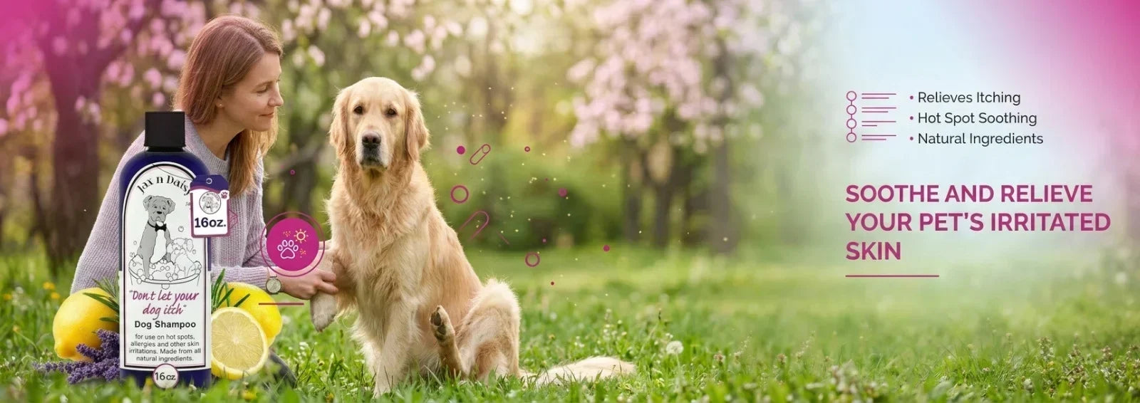 Dog Seasonal Allergies: Symptoms, Triggers, and How to Manage Flare-Ups
