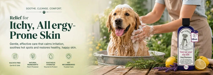 Dog Shampoo for Itchy, Allergy-Prone Skin The 2026 Buyer's Guide