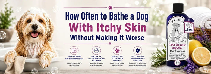 How Often to Bathe a Dog With Itchy Skin 