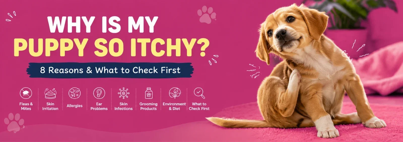 Why Is My Puppy So Itchy? 8 Reasons and What to Check First