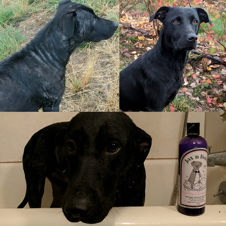 REMI