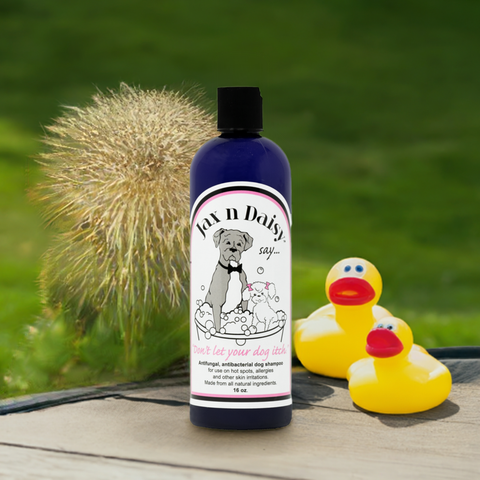 "Don't Let Your Dog Itch" Shampoo 16oz